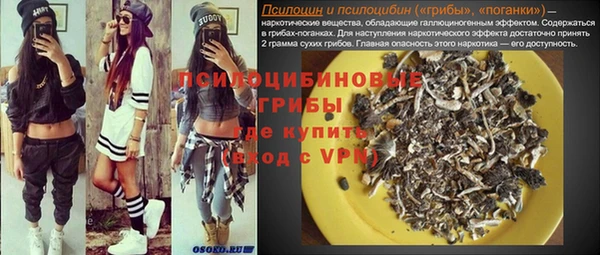 трава Арсеньев