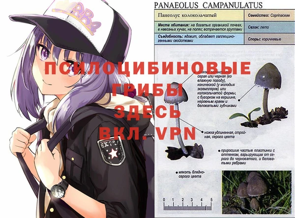 мяу мяу кристалл Аркадак