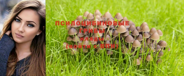соль курить ск Тавда