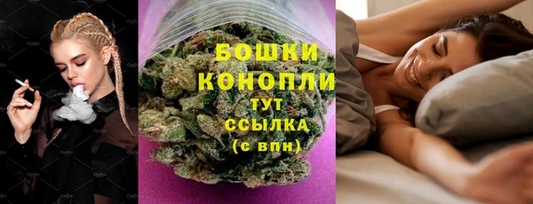 трава Арсеньев